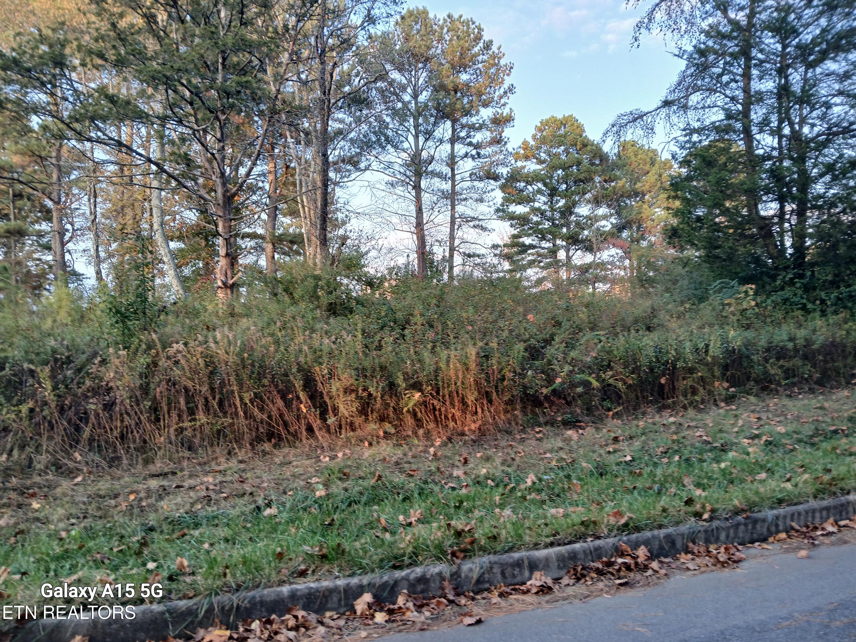 411 County Road 784 Property Photo 17