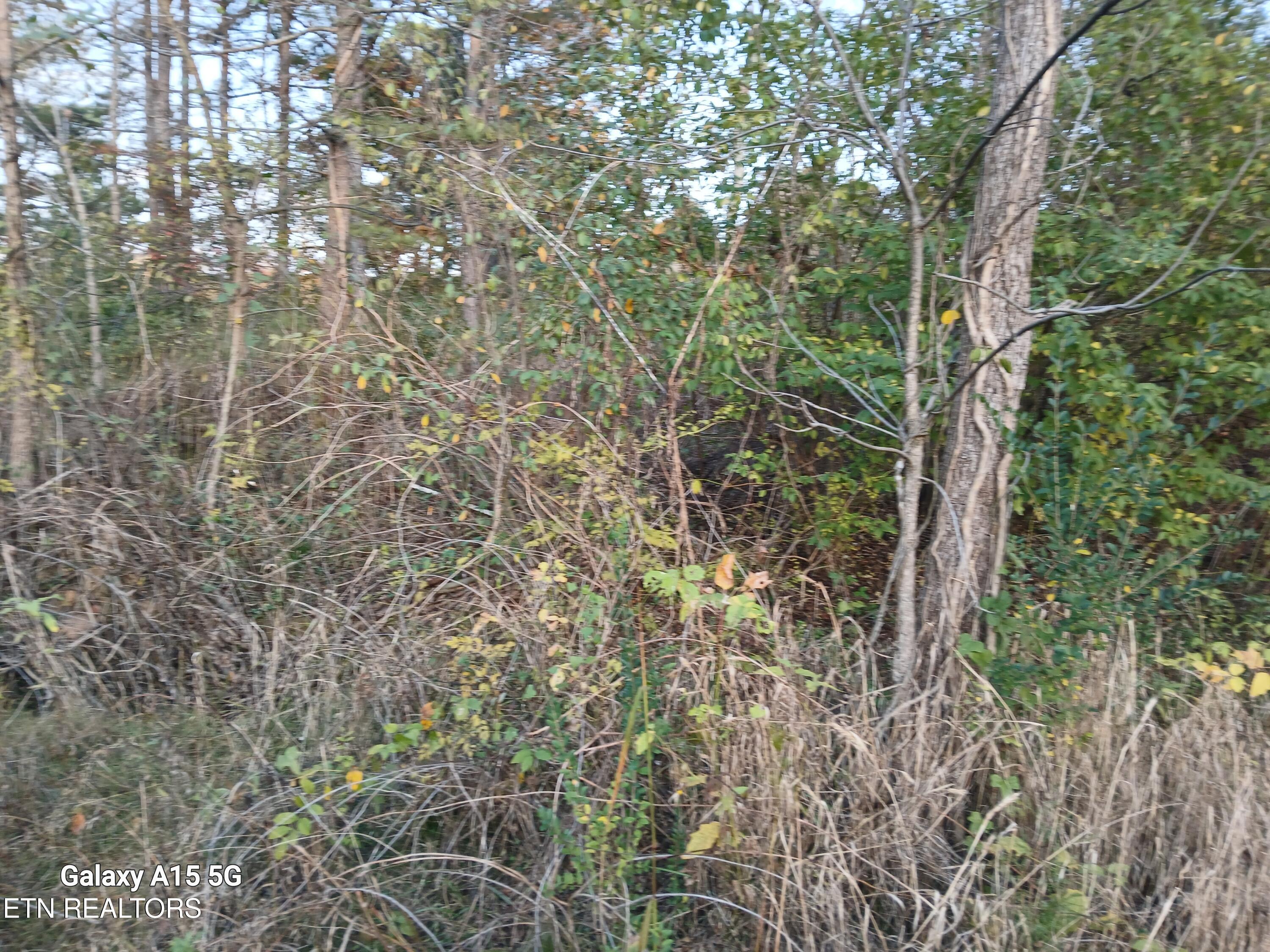 411 County Road 784 Property Photo 18
