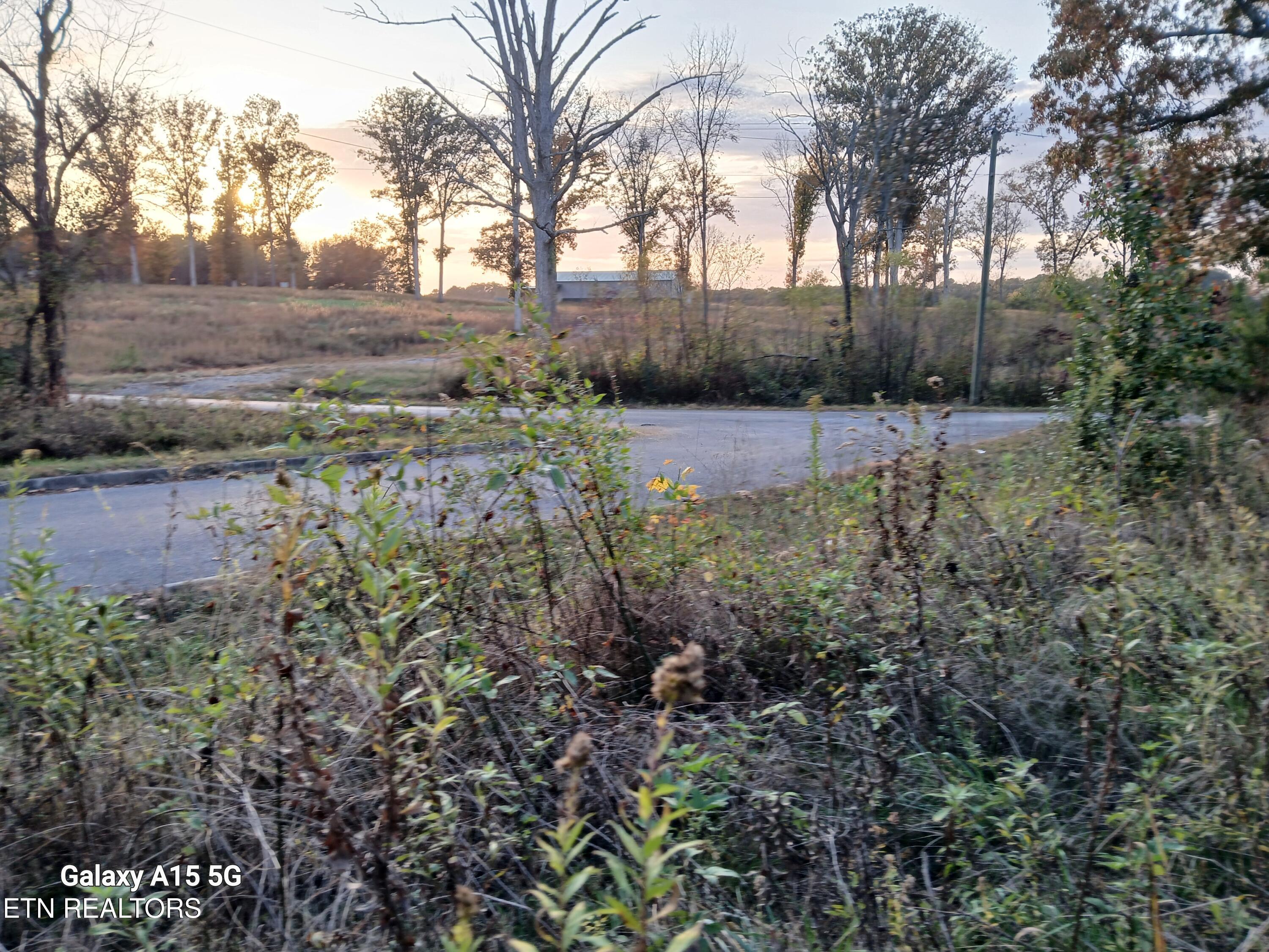411 County Road 784 Property Photo 19