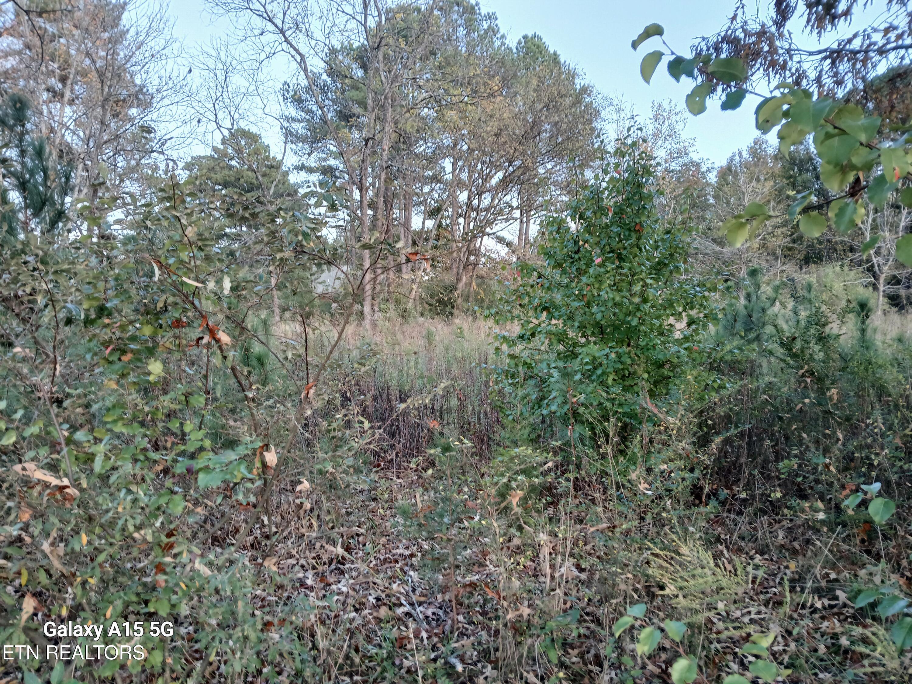 411 County Road 784 Property Photo 21