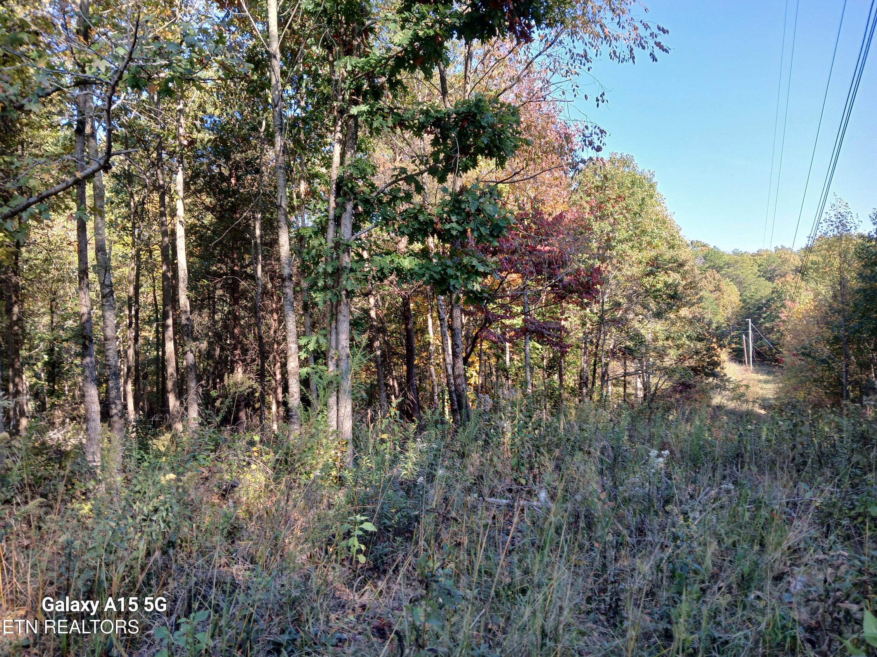 411 County Road 784 Property Photo 23