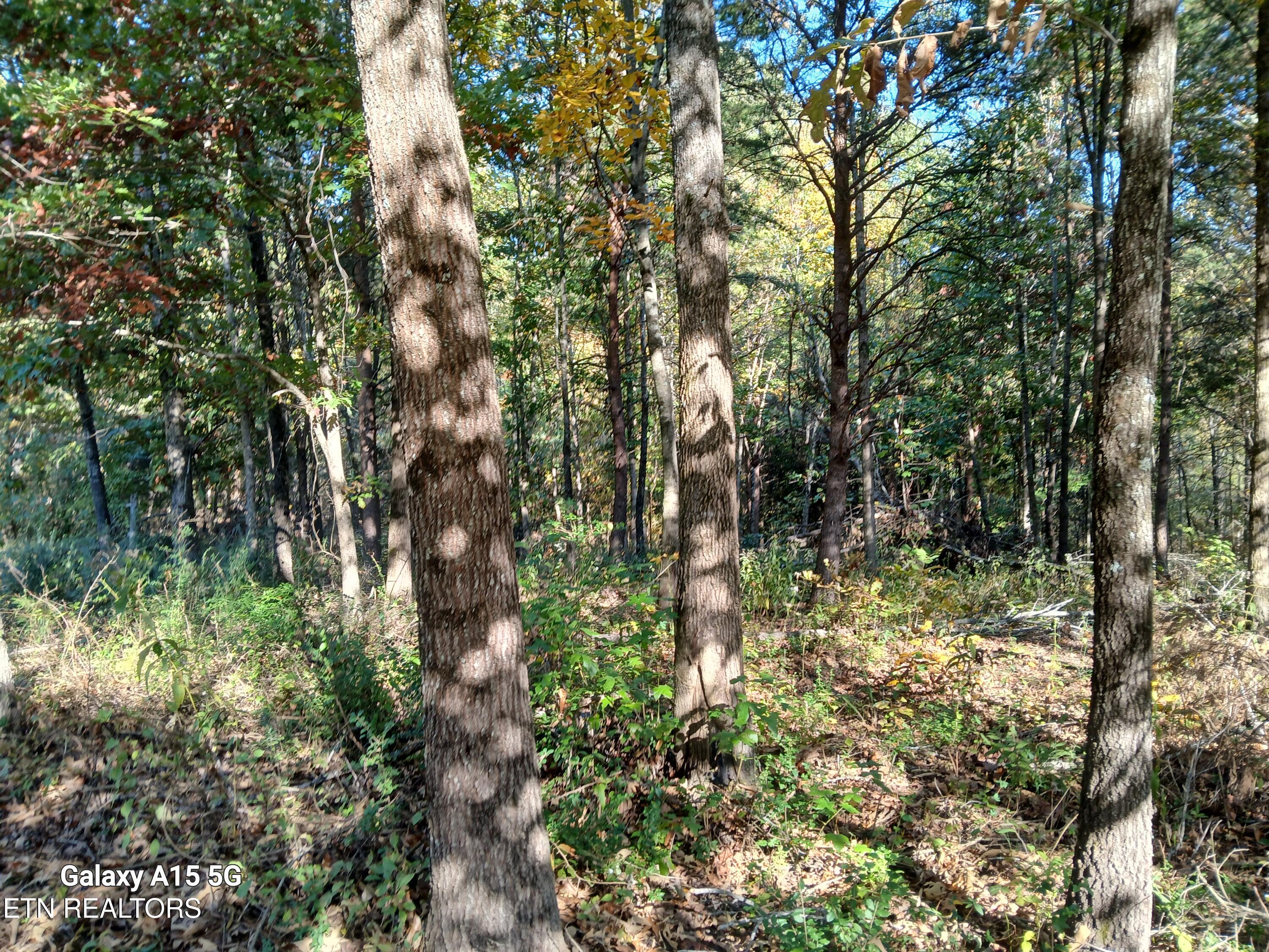 411 County Road 784 Property Photo 24