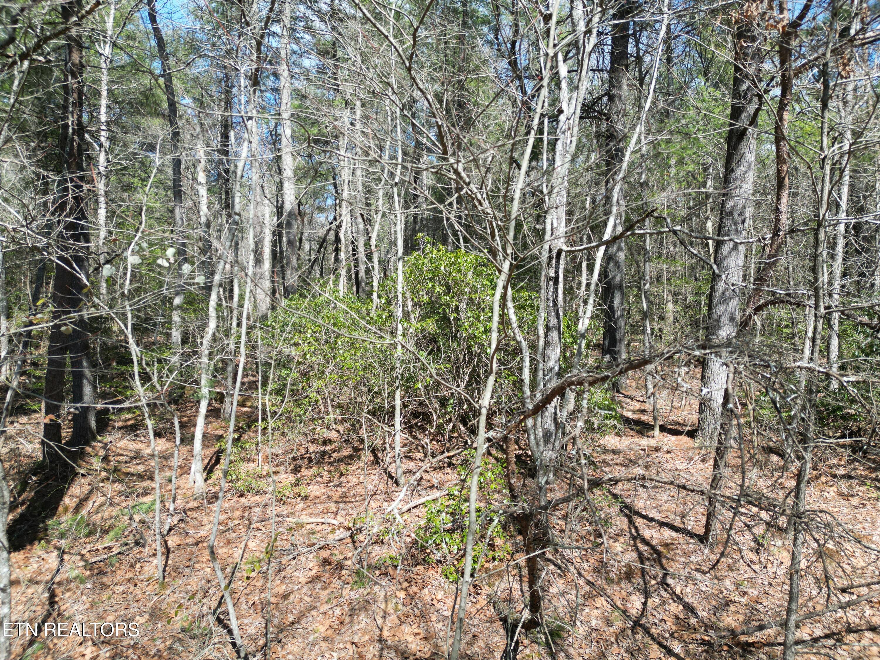 158 Stratford Drive Property Photo 2