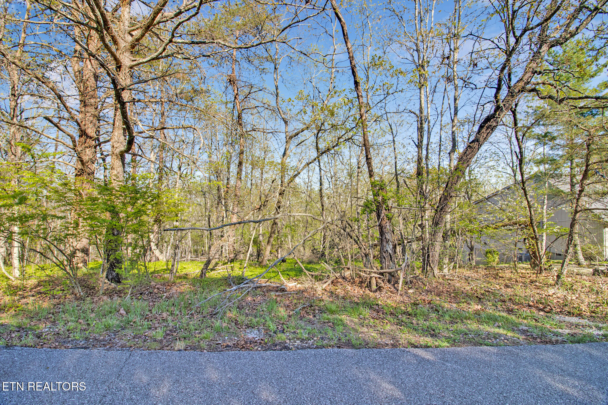 165 Brokenwood Lane Property Photo