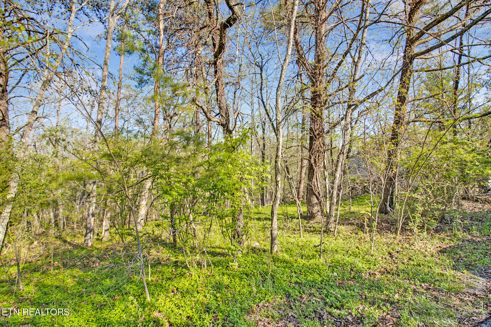 165 Brokenwood Lane Property Photo 4