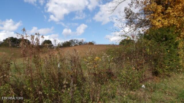 12.50ac Chester Hogan Rd Property Photo 1