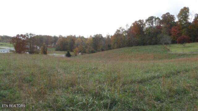 12.50ac Chester Hogan Rd Property Photo 3