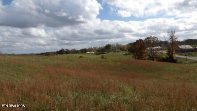 12.50ac Chester Hogan Rd Property Photo 6