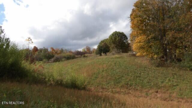 12.50ac Chester Hogan Rd Property Photo 7
