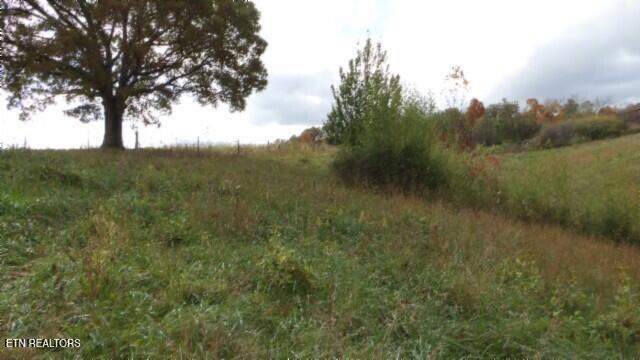 12.50ac Chester Hogan Rd Property Photo 8