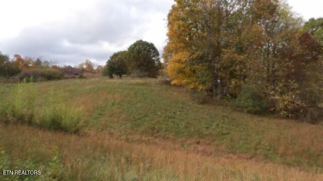 12.50ac Chester Hogan Rd Property Photo 9