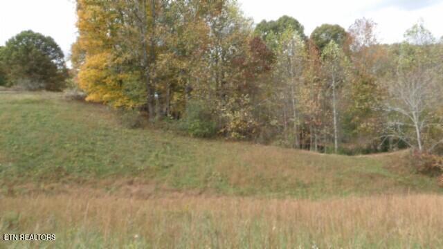 12.50ac Chester Hogan Rd Property Photo 10