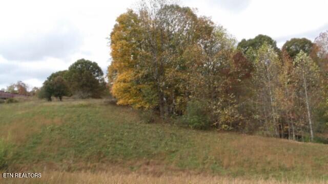 12.50ac Chester Hogan Rd Property Photo 12