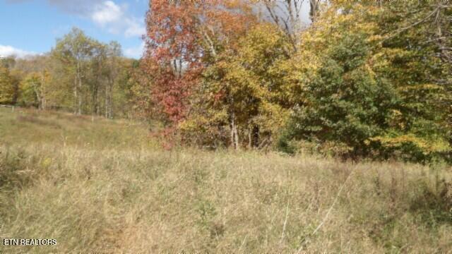 12.50ac Chester Hogan Rd Property Photo 14