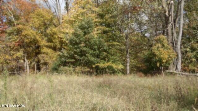 12.50ac Chester Hogan Rd Property Photo 15