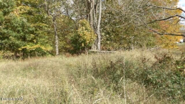 12.50ac Chester Hogan Rd Property Photo 16