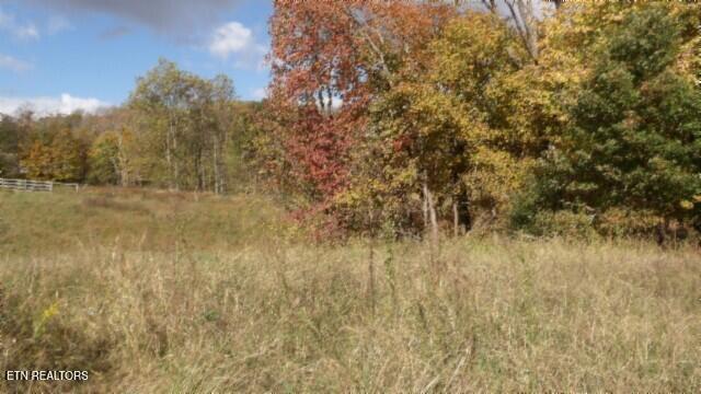 12.50ac Chester Hogan Rd Property Photo 17