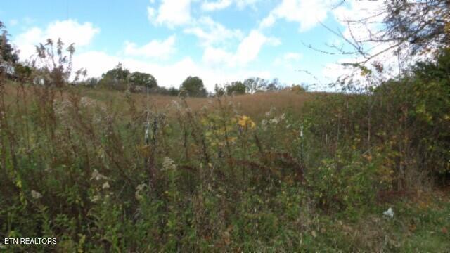 12.50ac Chester Hogan Rd Property Photo 20