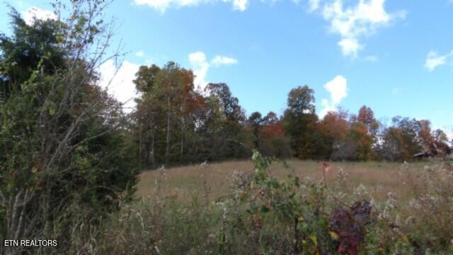 12.50ac Chester Hogan Rd Property Photo 21
