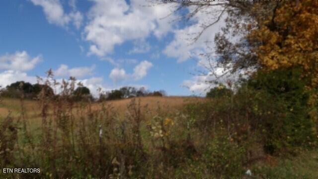 12.50ac Chester Hogan Rd Property Photo 23