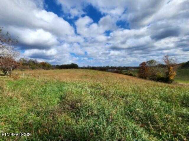 12.50ac Chester Hogan Rd Property Photo 24