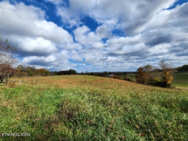 12.50ac Chester Hogan Rd Property Photo 25
