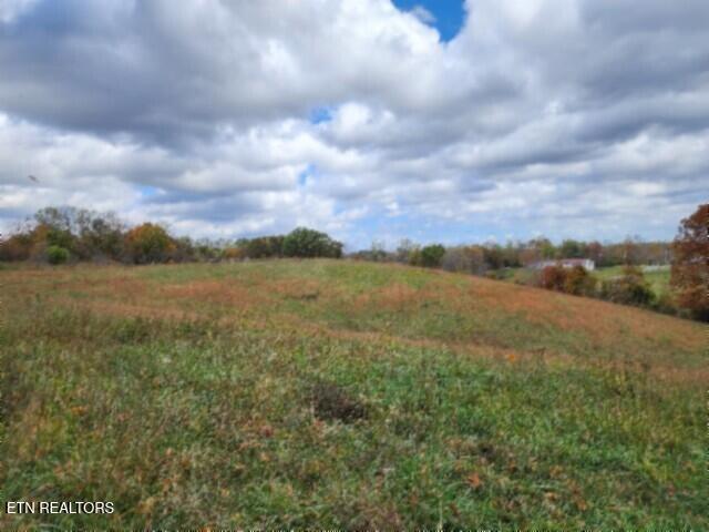 12.50ac Chester Hogan Rd Property Photo 26