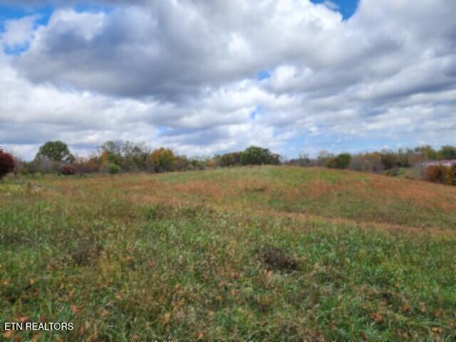 12.50ac Chester Hogan Rd Property Photo 27