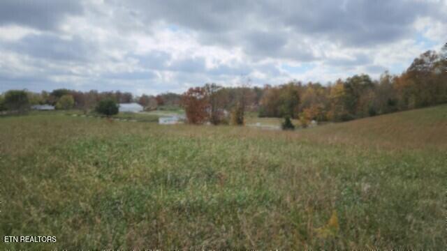 12.50ac Chester Hogan Rd Property Photo 31