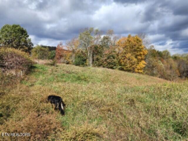 12.50ac Chester Hogan Rd Property Photo 32