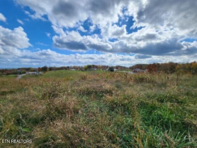 12.50ac Chester Hogan Rd Property Photo 33