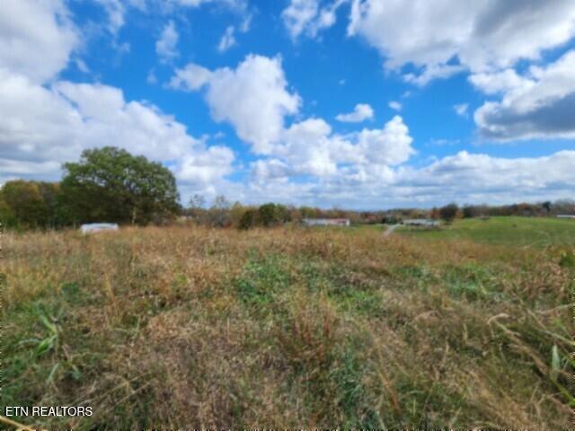 12.50ac Chester Hogan Rd Property Photo 34