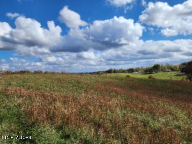 12.50ac Chester Hogan Rd Property Photo 36