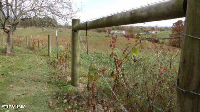 12.50ac Chester Hogan Rd Property Photo 42