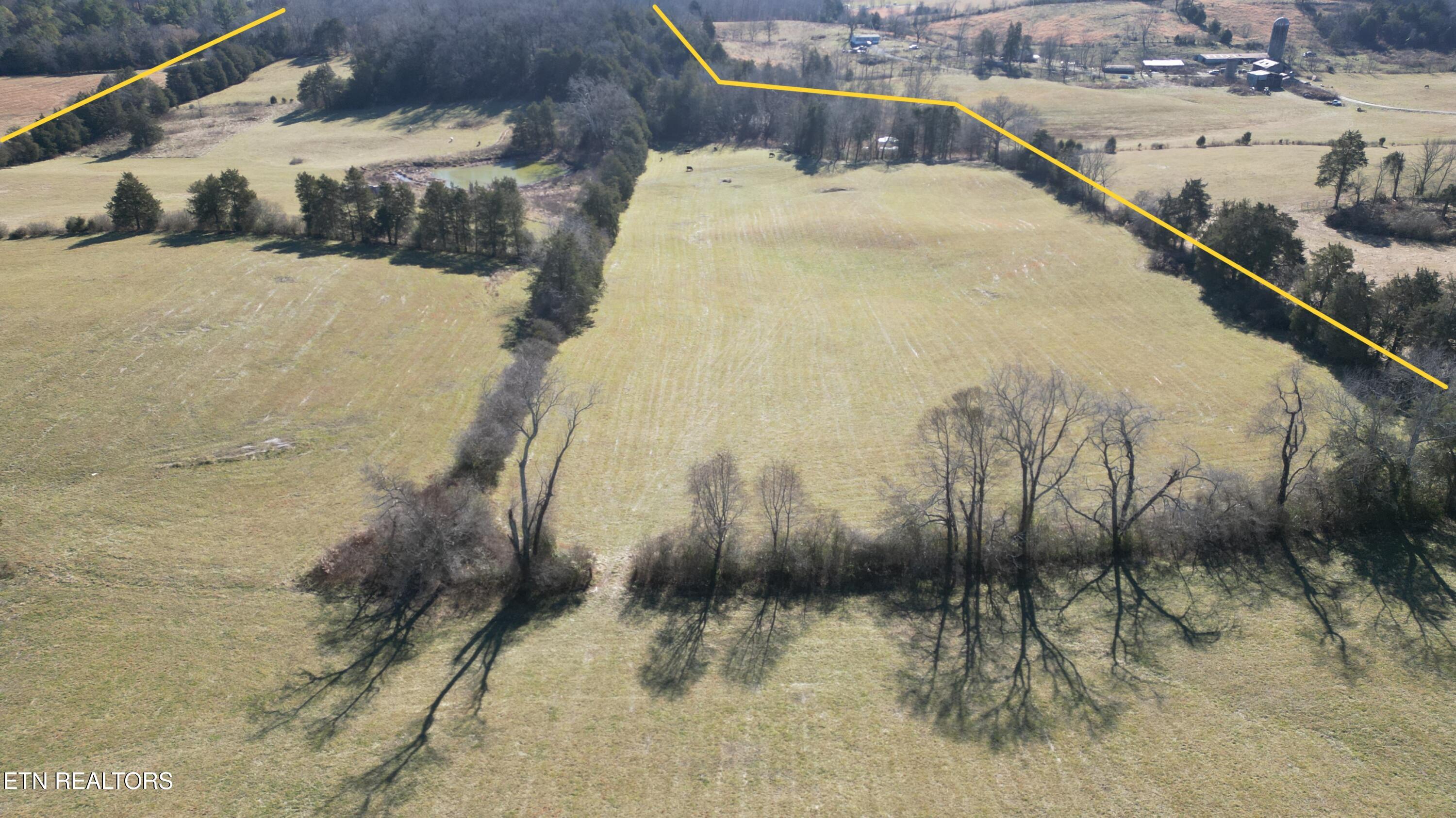 2451 Old Hwy 63 Property Photo 5