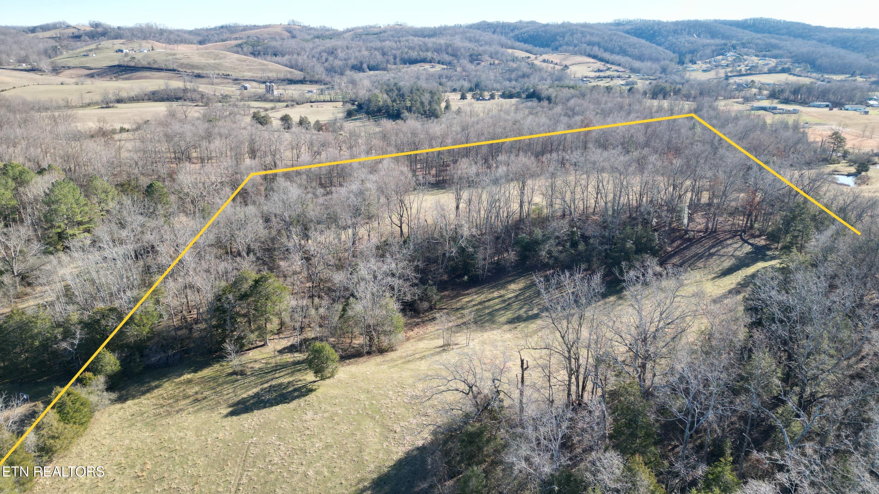 2451 Old Hwy 63 Property Photo 10