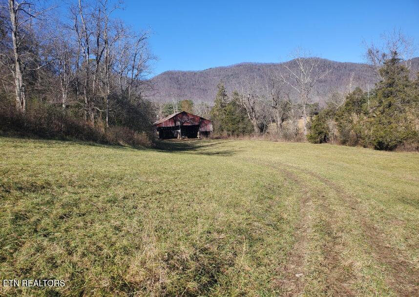 2451 Old Hwy 63 Property Photo 17