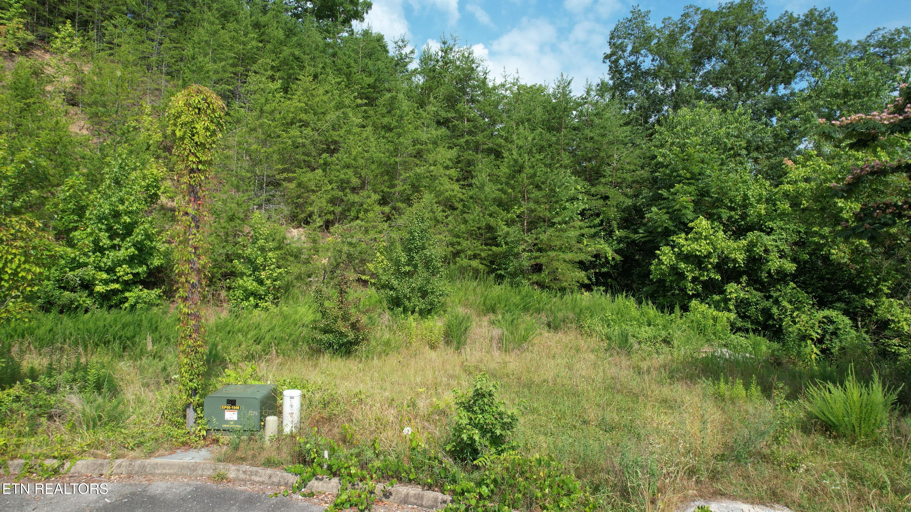 20-r &37 Cherokee Valley Drive Property Photo 6