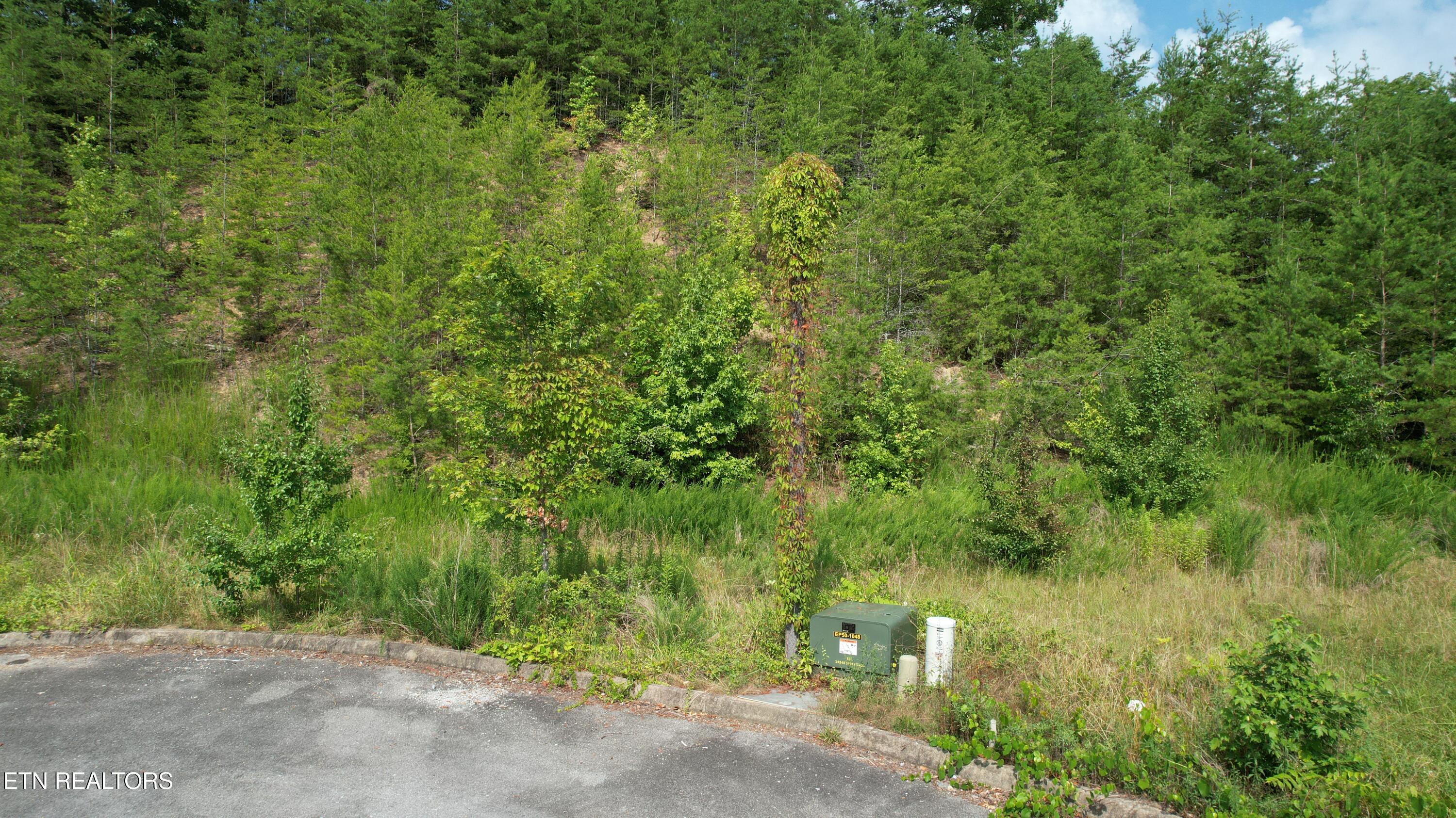 20-r &37 Cherokee Valley Drive Property Photo 7