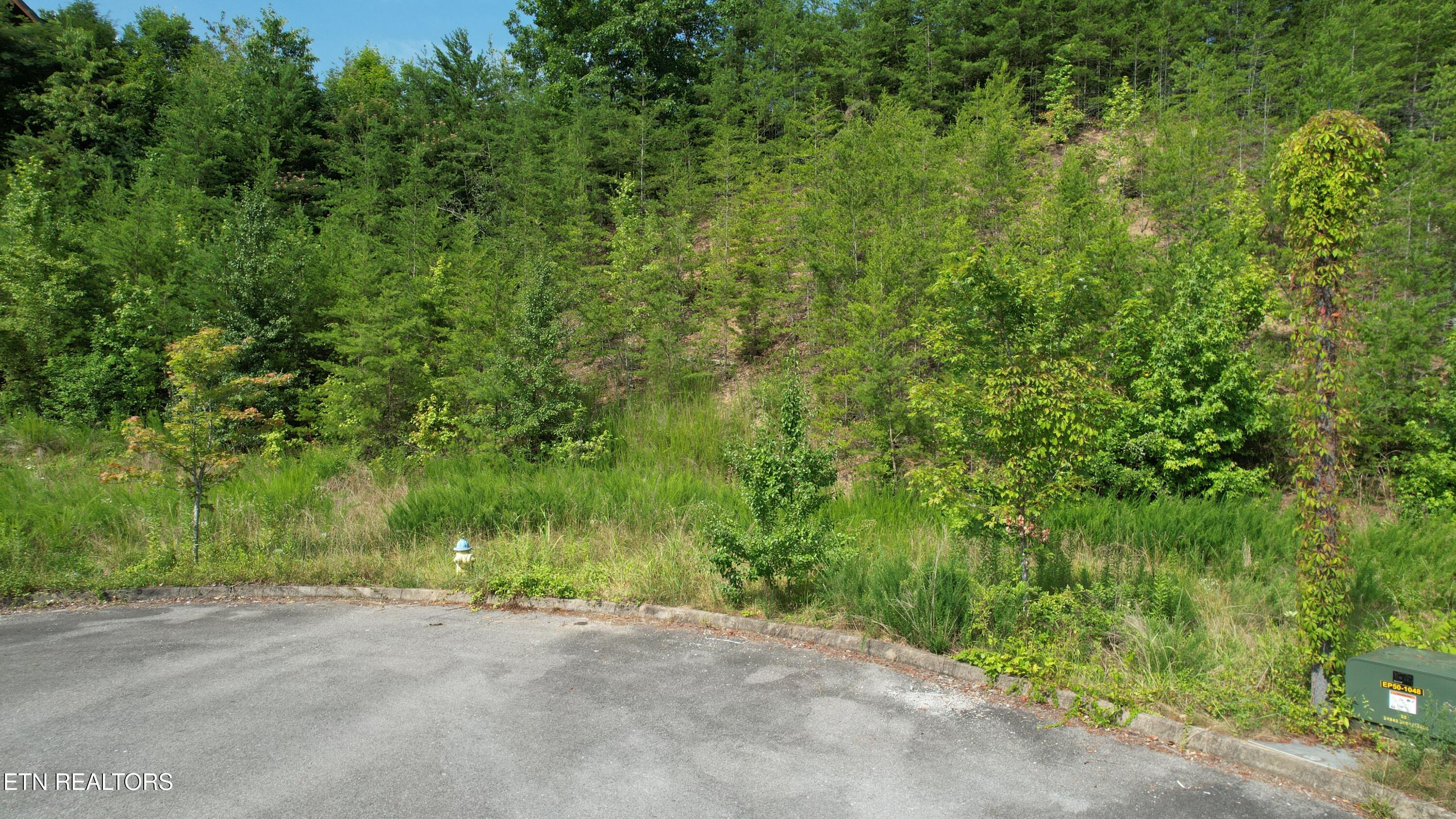 20-r &37 Cherokee Valley Drive Property Photo 8