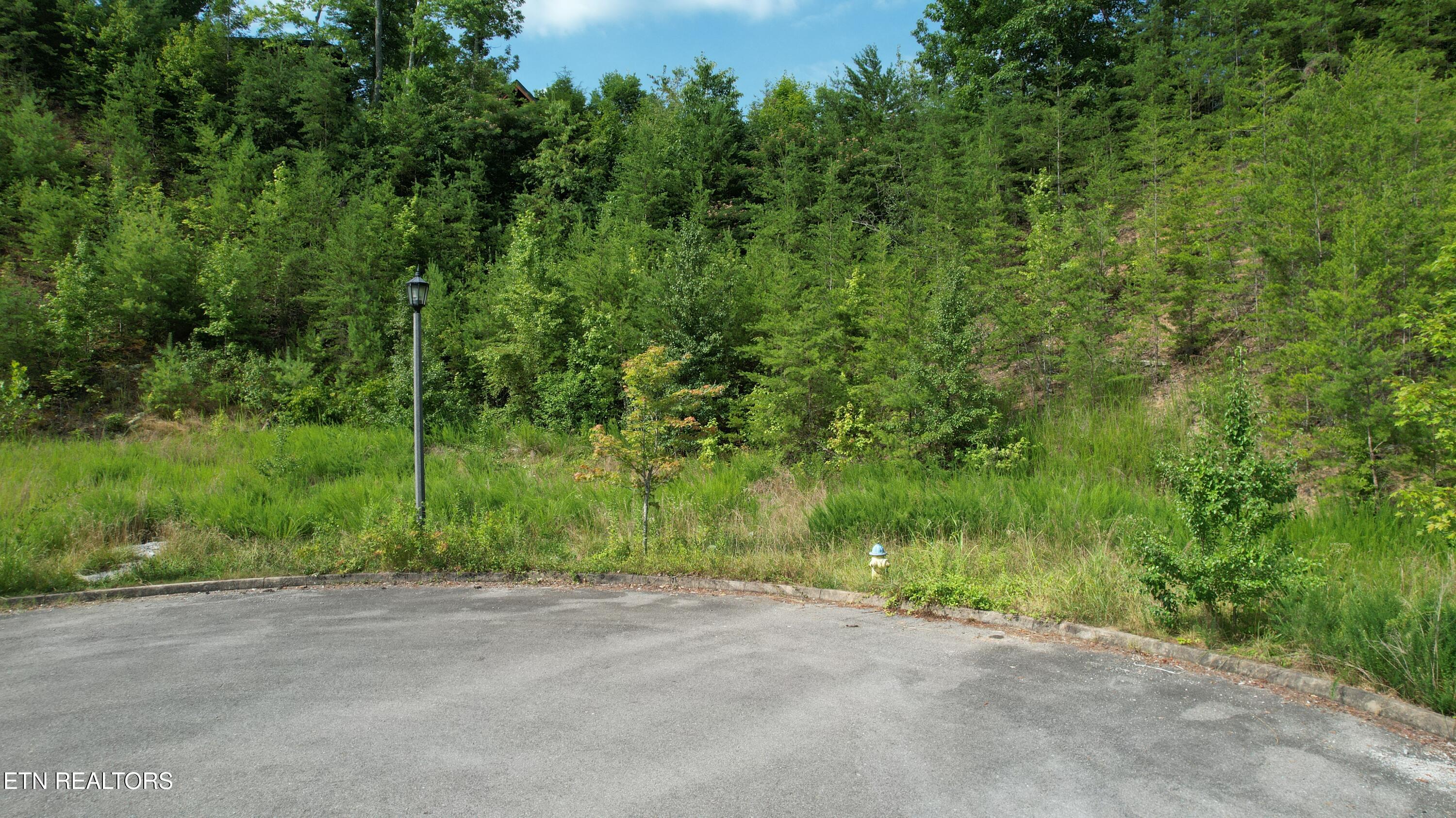 20-r &37 Cherokee Valley Drive Property Photo 9