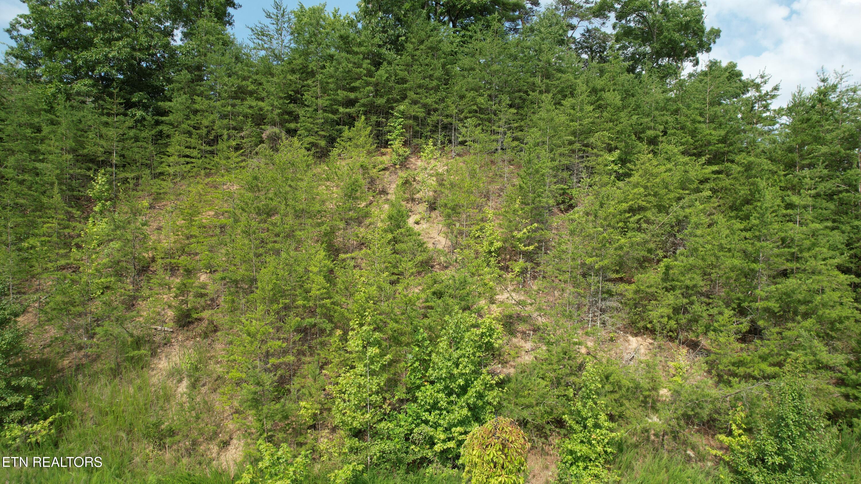 20-r &37 Cherokee Valley Drive Property Photo 11