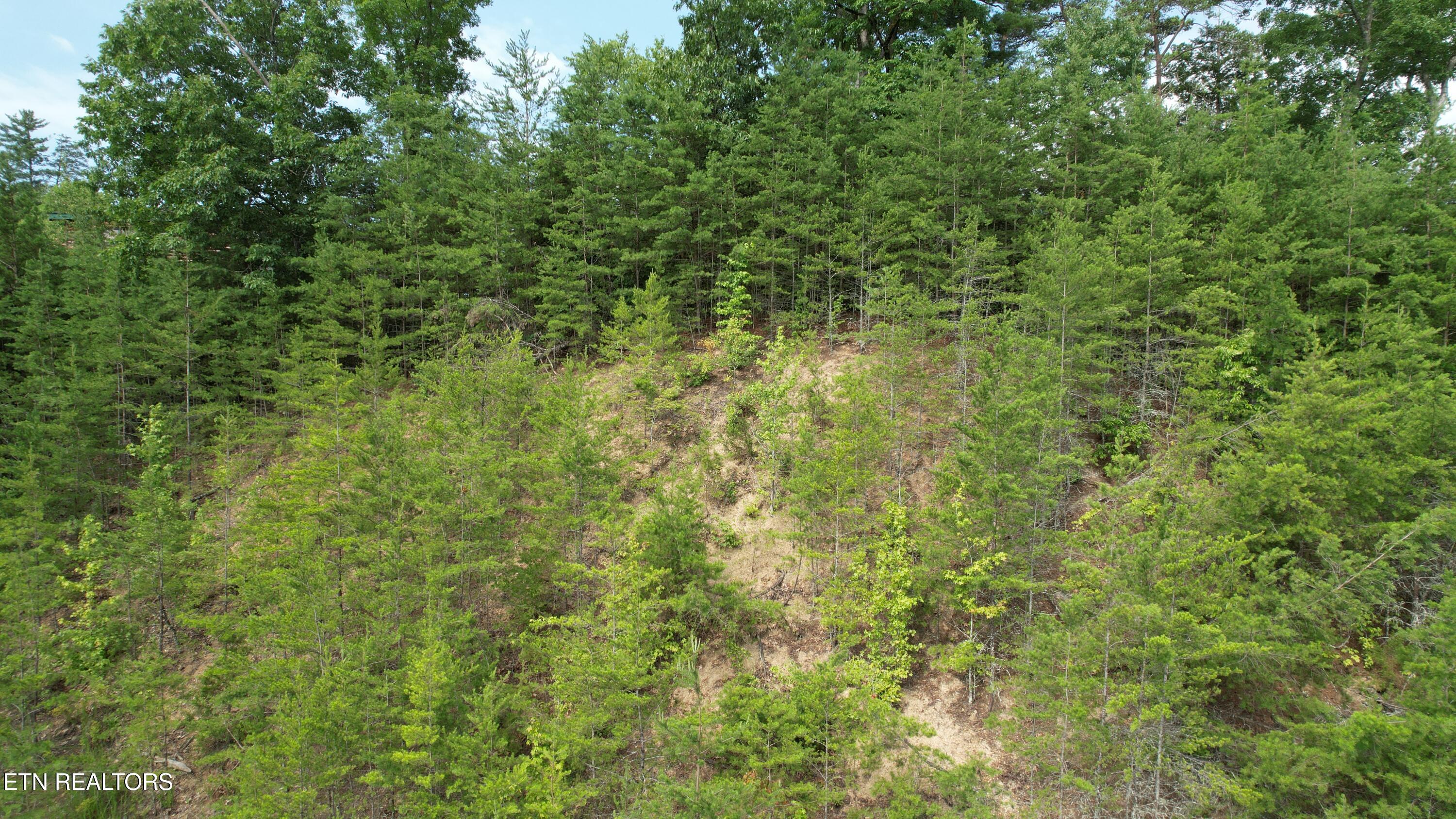 20-r &37 Cherokee Valley Drive Property Photo 15