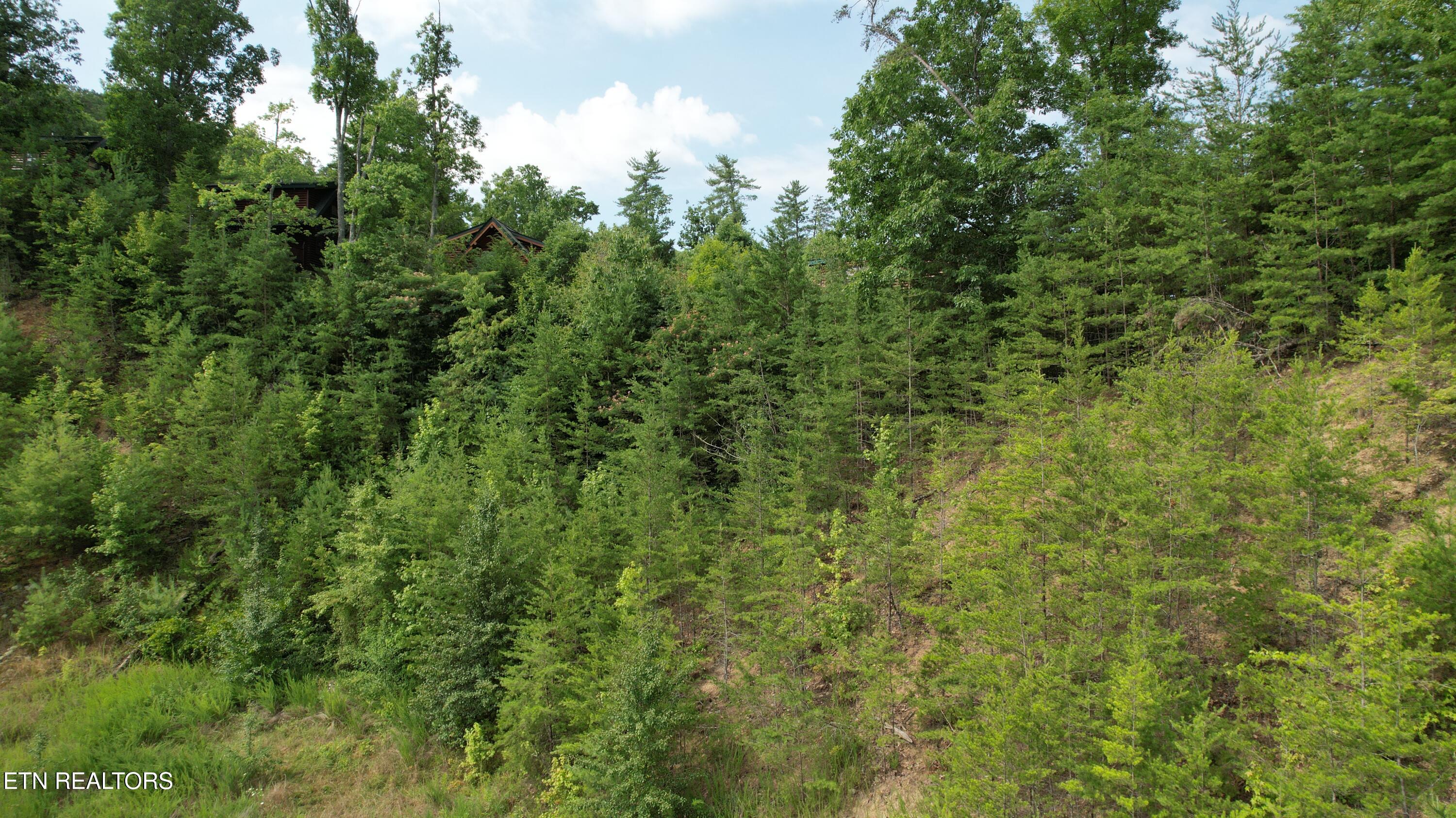 20-r &37 Cherokee Valley Drive Property Photo 16
