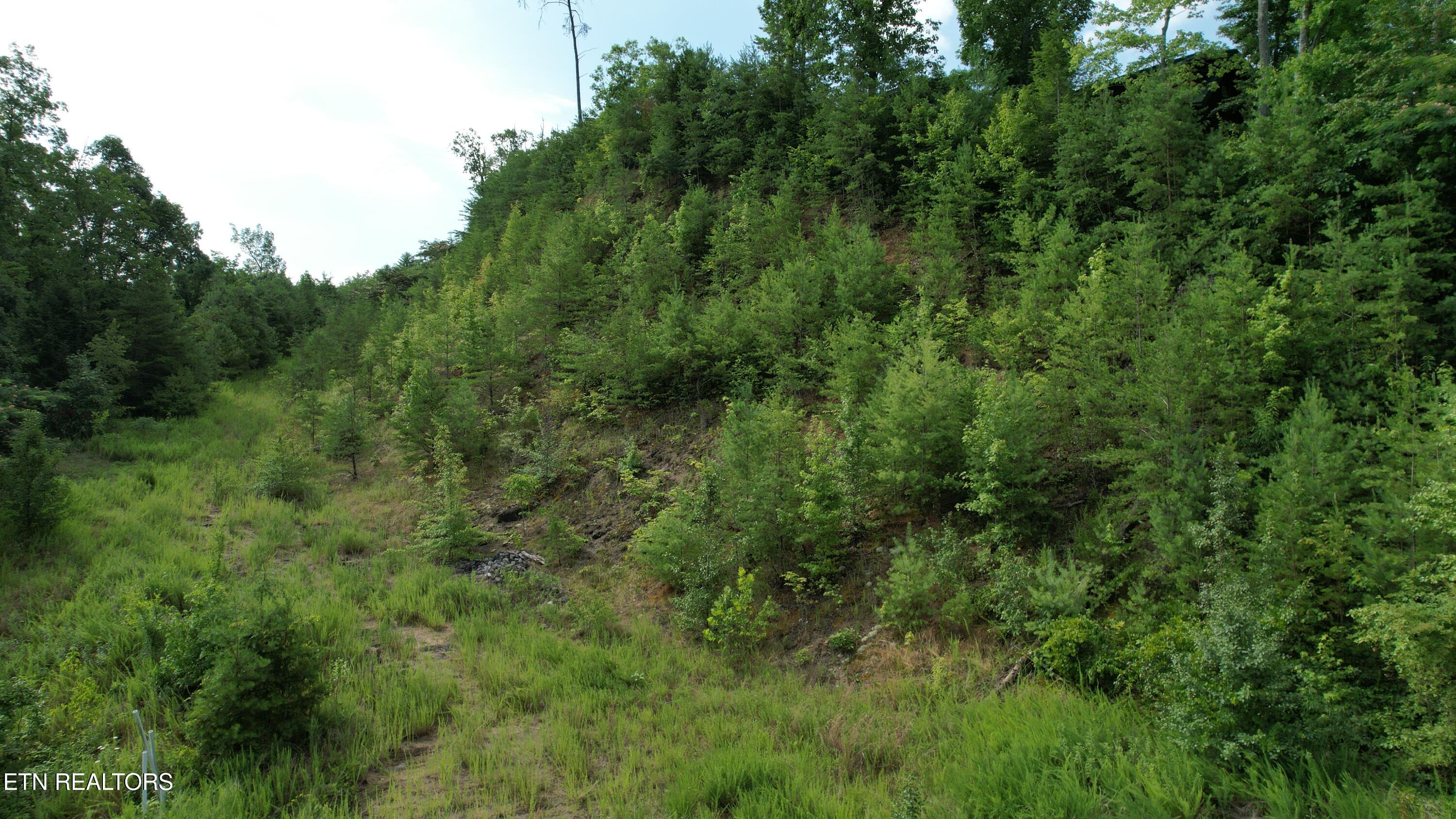 20-r &37 Cherokee Valley Drive Property Photo 20