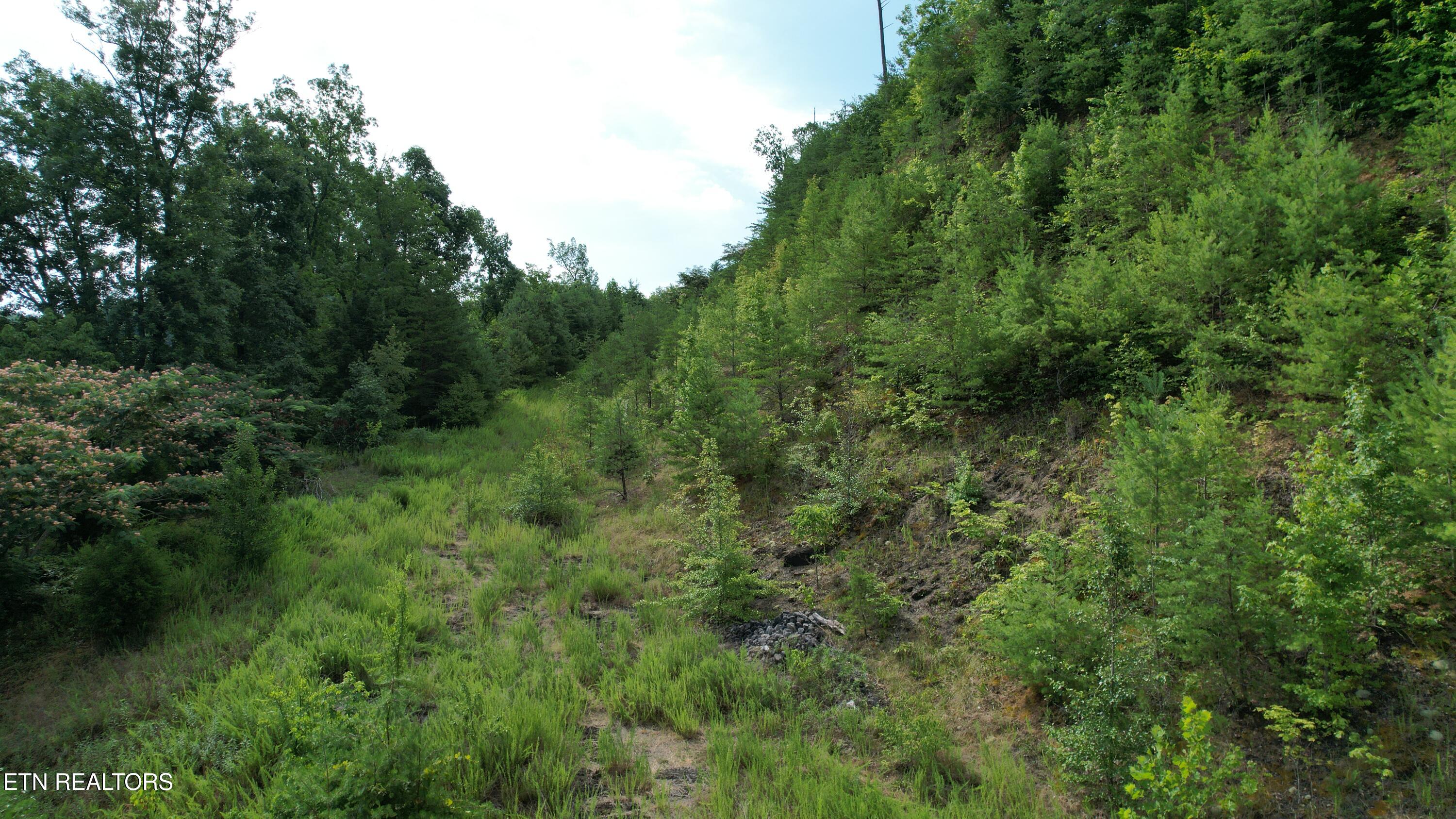20-r &37 Cherokee Valley Drive Property Photo 22