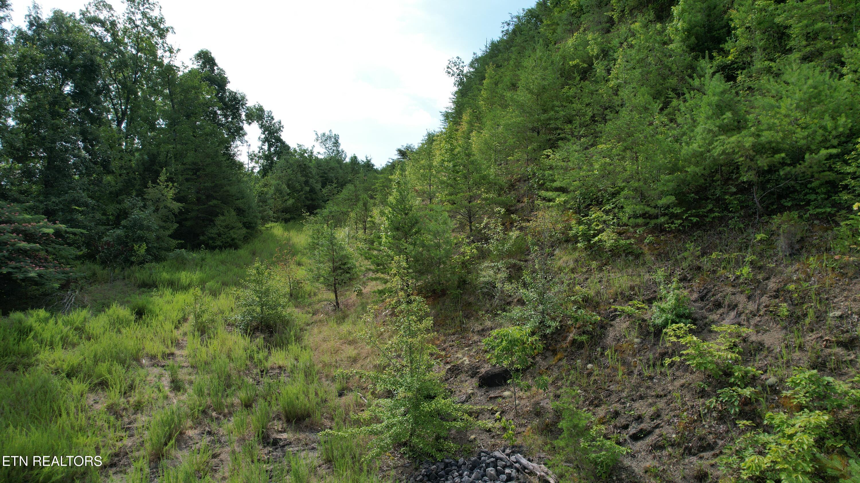 20-r &37 Cherokee Valley Drive Property Photo 23