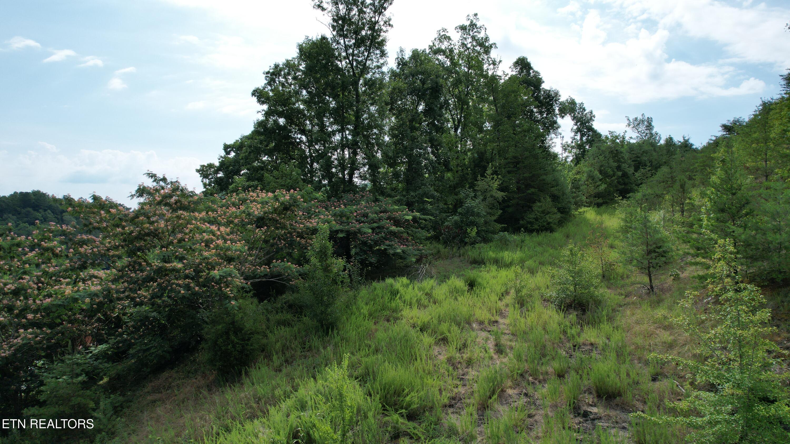 20-r &37 Cherokee Valley Drive Property Photo 24