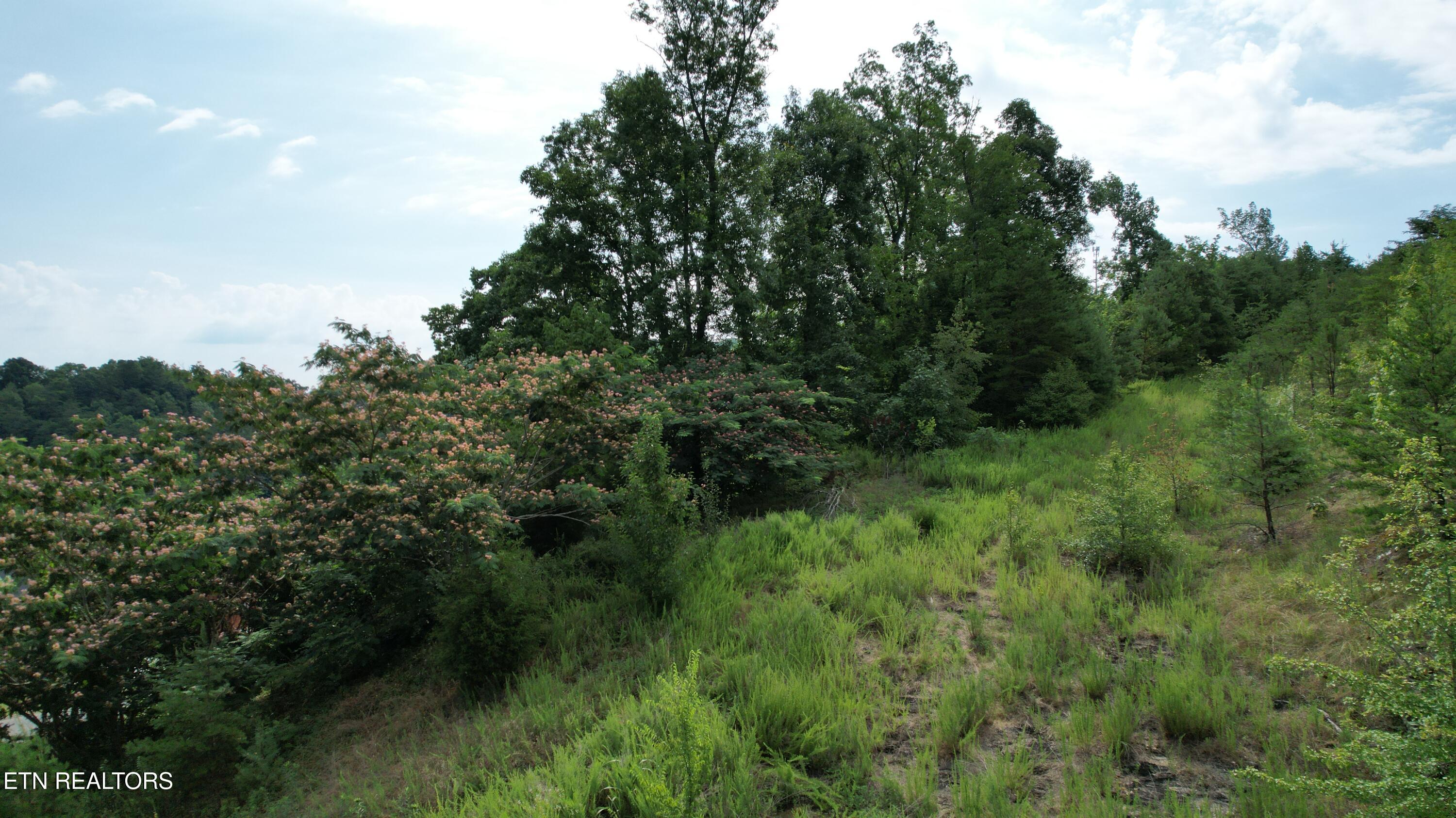 20-r &37 Cherokee Valley Drive Property Photo 25