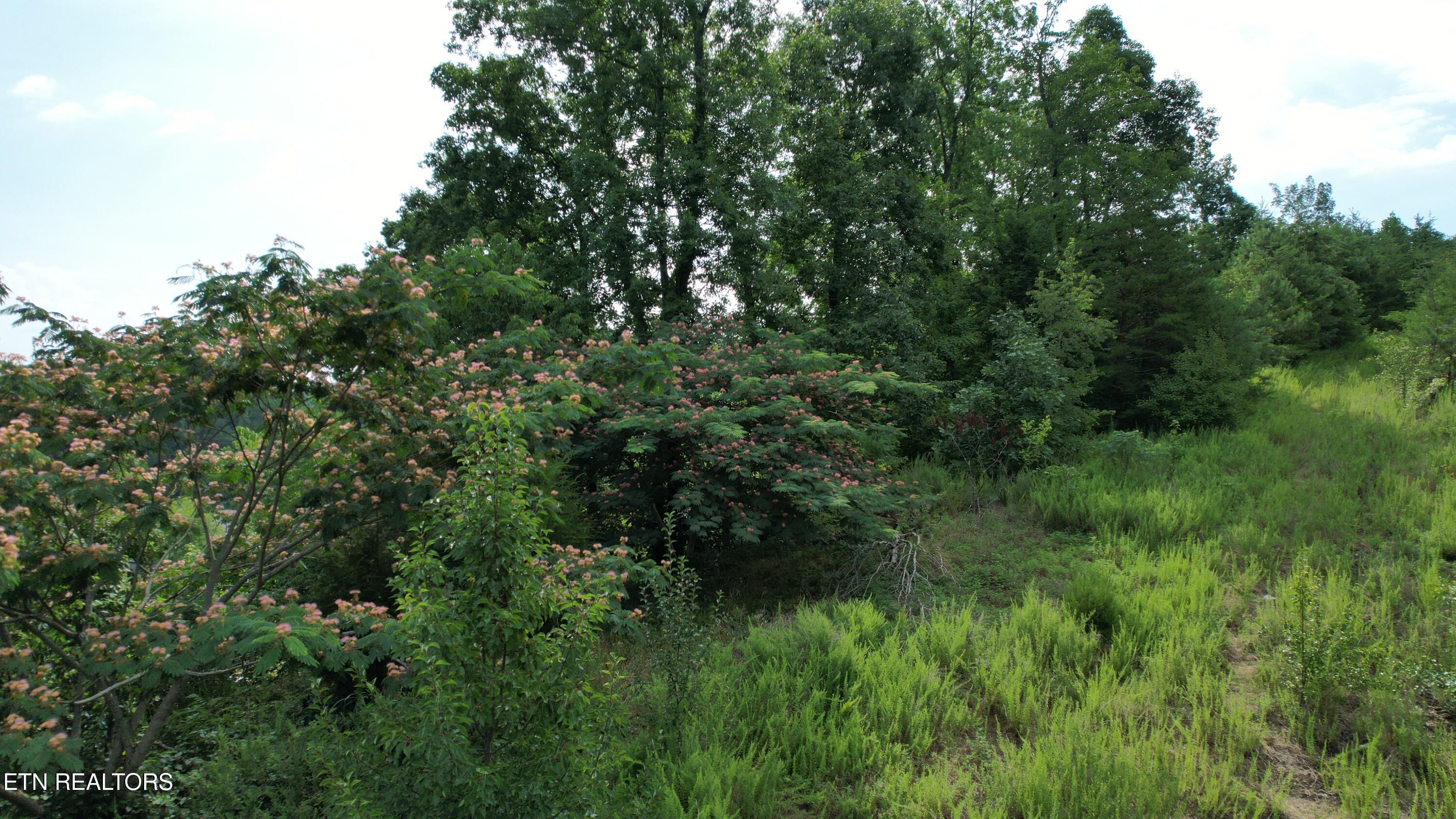 20-r &37 Cherokee Valley Drive Property Photo 26